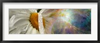Daisy with Hubble cosmos Fine Art Print