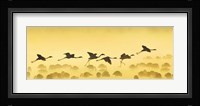 Flamingos landing, Kenya Fine Art Print