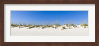 Sand dunes on Gulf Of Mexico, Orange Beach, Baldwin County, Alabama, USA Fine Art Print