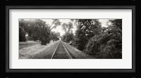 Railroad track, Napa Valley, California, USA Fine Art Print