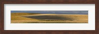 Wheat field, Palouse, Washington State, USA Fine Art Print