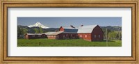Barns in field with mountains in the background, Mt Hood, The Dalles, Oregon, USA Fine Art Print