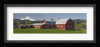 Barns in field with mountains in the background, Mt Hood, The Dalles, Oregon, USA Fine Art Print