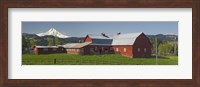 Barns in field with mountains in the background, Mt Hood, The Dalles, Oregon, USA Fine Art Print