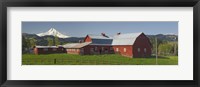 Barns in field with mountains in the background, Mt Hood, The Dalles, Oregon, USA Fine Art Print