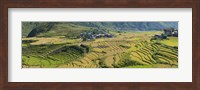 Rice terraced fields and houses in the mountains, Punakha, Bhutan Fine Art Print