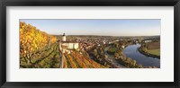 Vineyards around a castle, Horneck Castle, Gundelsheim, Baden-Wurttemberg, Germany Fine Art Print