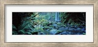 Waterfall in a forest, Hopetown Falls, Great Ocean Road, Otway Ranges National Park, Victoria, Australia Fine Art Print