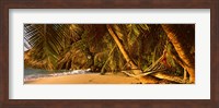 Hammock between two palm trees, Seychelles Fine Art Print