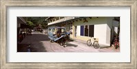 Ox-drawn cart in a street, La Digue Island, Seychelles Fine Art Print