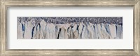 Moreno Glacier, Argentine Glaciers National Park, Patagonia, Argentina Fine Art Print