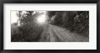 Dirt road through a forest, Chiang Mai Province, Thailand (black and white) Fine Art Print