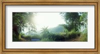 Man with a slingshot in a forest, Chiang Mai, Thailand Fine Art Print