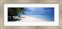Palm trees on the beach, Tapuaetai, Aitutaki, Cook Islands Fine Art Print