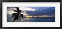 Silhouette of coconut palm tree at sunset, from Anse Severe Beach, La Digue Island, Seychelles Fine Art Print