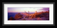 Rock formations with a river, Desert View Watchtower, Desert Point, Grand Canyon National Park, Arizona Fine Art Print