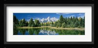 Reflection of trees in water with mountains, Schwabachers Landing, Grand Teton, Grand Teton National Park, Wyoming, USA Fine Art Print