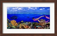 Diver along reef with parrotfish, Green Moray Eel and White Spotted Filefish (Cantherhines macrocerus) underwater Fine Art Print