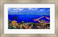 Diver along reef with parrotfish, Green Moray Eel and White Spotted Filefish (Cantherhines macrocerus) underwater Fine Art Print