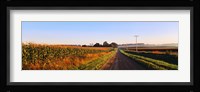 Road Along Rural Cornfield, Illinois, USA Fine Art Print