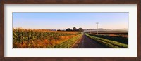 Road Along Rural Cornfield, Illinois, USA Fine Art Print