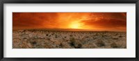 Sunset over a desert, Palm Springs, California, USA Fine Art Print