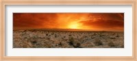 Sunset over a desert, Palm Springs, California, USA Fine Art Print