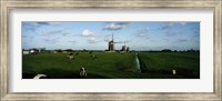 Windmills, Netherlands Fine Art Print