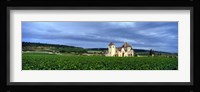 Grand Cru Vineyard, Burgundy, France Fine Art Print