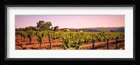 Sattui Winery, Napa Valley, California, USA Fine Art Print