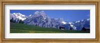 Field Of Wildflowers With Majestic Mountain Backdrop, Karwendel Mountains, Austria Fine Art Print