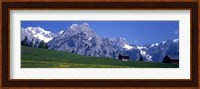 Field Of Wildflowers With Majestic Mountain Backdrop, Karwendel Mountains, Austria Fine Art Print