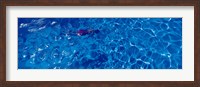 Woman in swimming pool Fine Art Print
