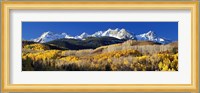 USA, Colorado, Rocky Mountains, aspens, autumn Fine Art Print