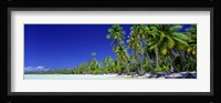 Beach With Palm Trees, Bora Bora, Tahiti Fine Art Print