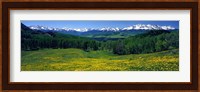 San Miguel Mountains In Spring, Colorado, USA Fine Art Print