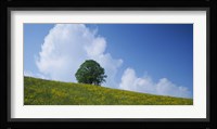 Green Hill w/ flowers & tree Canton Zug Switzerland Fine Art Print