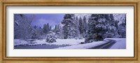 Winter Road, Yosemite Park, California, USA Fine Art Print