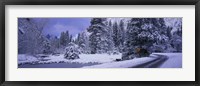 Winter Road, Yosemite Park, California, USA Fine Art Print