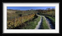 Italy, Piemont, road Fine Art Print
