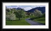 Switzerland, Luzern, trees, road Fine Art Print