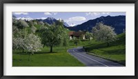 Switzerland, Luzern, trees, road Fine Art Print