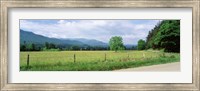 Road Along A Grass Field, Cades Cove, Great Smoky Mountains National Park, Tennessee, USA Fine Art Print