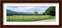 Road Along A Grass Field, Cades Cove, Great Smoky Mountains National Park, Tennessee, USA Fine Art Print