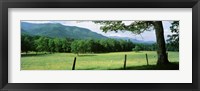 Meadow Surrounded By Barbed Wire Fence, Cades Cove, Great Smoky Mountains National Park, Tennessee, USA Fine Art Print