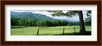 Meadow Surrounded By Barbed Wire Fence, Cades Cove, Great Smoky Mountains National Park, Tennessee, USA Fine Art Print