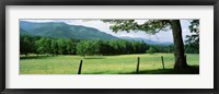 Meadow Surrounded By Barbed Wire Fence, Cades Cove, Great Smoky Mountains National Park, Tennessee, USA Framed Print
