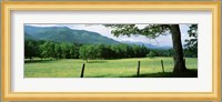 Meadow Surrounded By Barbed Wire Fence, Cades Cove, Great Smoky Mountains National Park, Tennessee, USA Fine Art Print