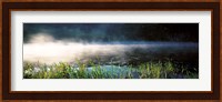 Morning fog Acadia National Park ME USA Fine Art Print