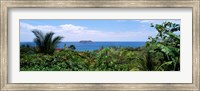 Manuel Antonia National Park nr Quepos Costa Rica Fine Art Print